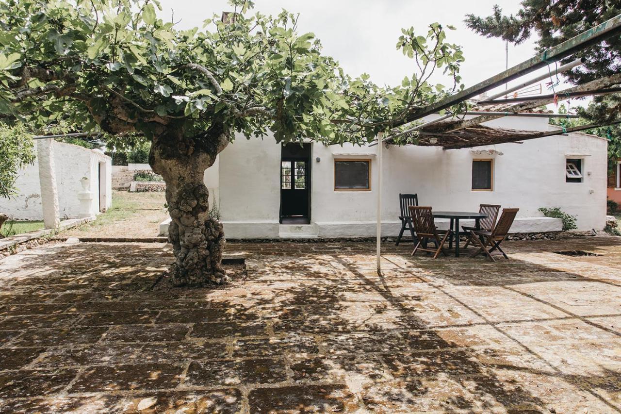 Agroturismo Son Triay Ferreries Eksteriør bilde